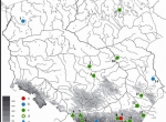 Fig. 4. Early Byzantine coin finds from Poland, 6th-7th cc. [later than 518]; bronze coins are marked green (according to M. Wołoszyn).