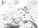 Mapa 1. Występowanie okuć dziobowatych na terenie Europy (R. Madyda-Legutko 2011).